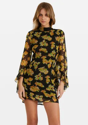 Hollywood Dress Midnight Floral