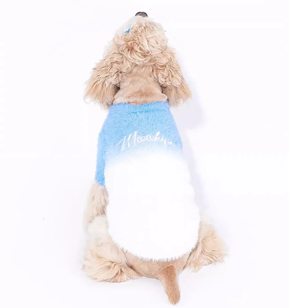 New Season, New Styles: Dog and Cat Sweaters for Autumn and Winter - Cozy and Fashionable Pet Clothes