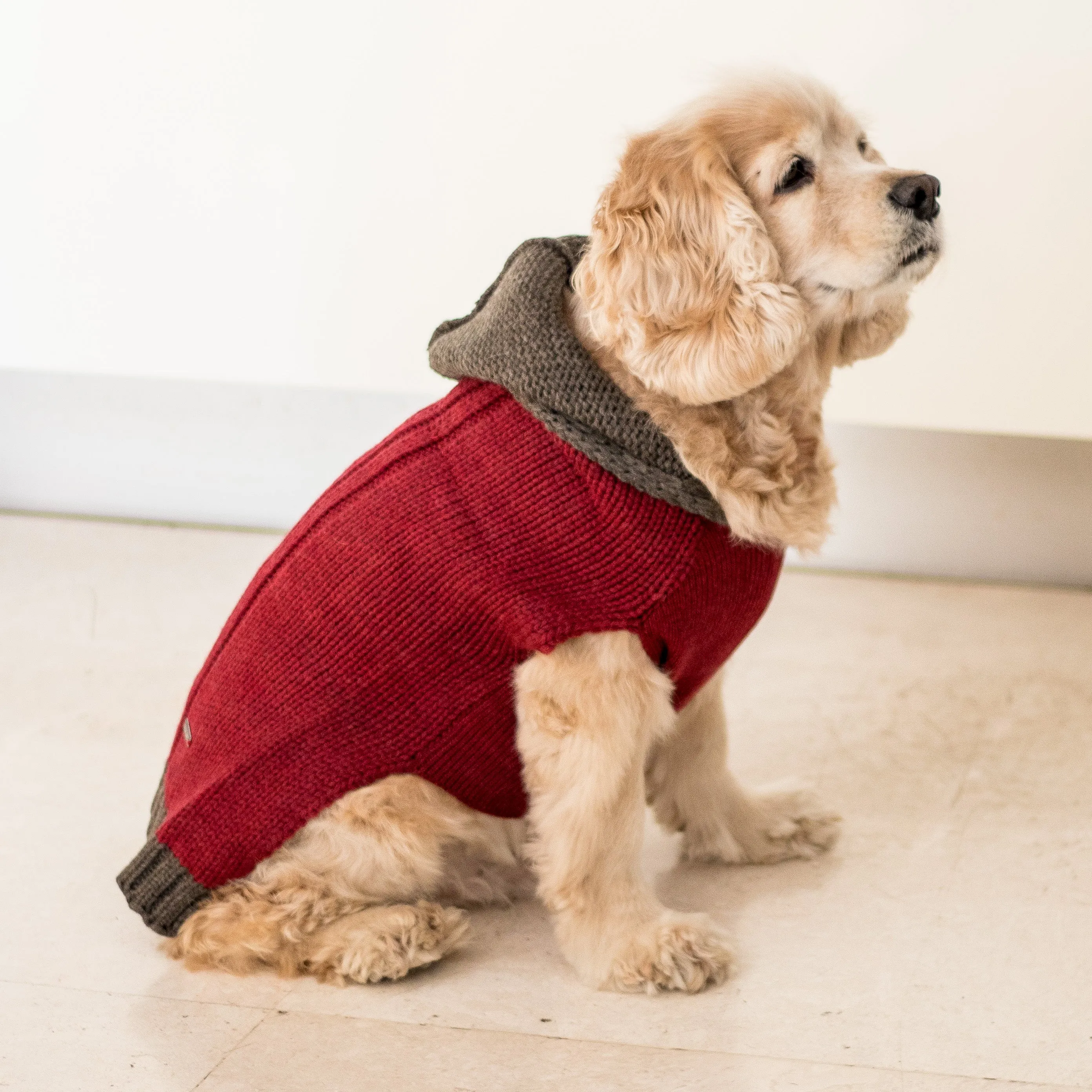 PoochMate Milano Hooded Dog Sweater - Maroon