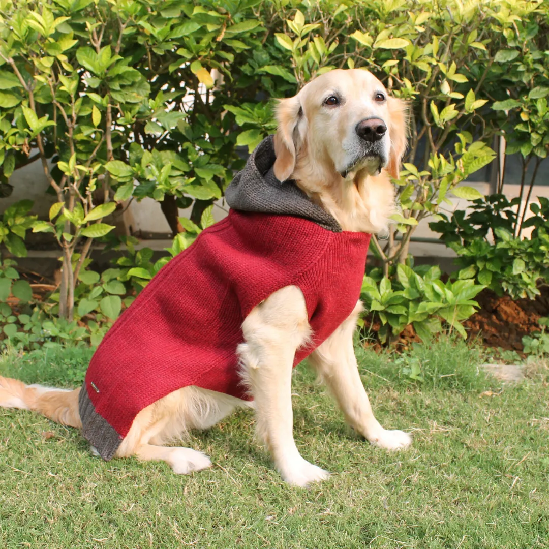 PoochMate Milano Hooded Dog Sweater - Maroon